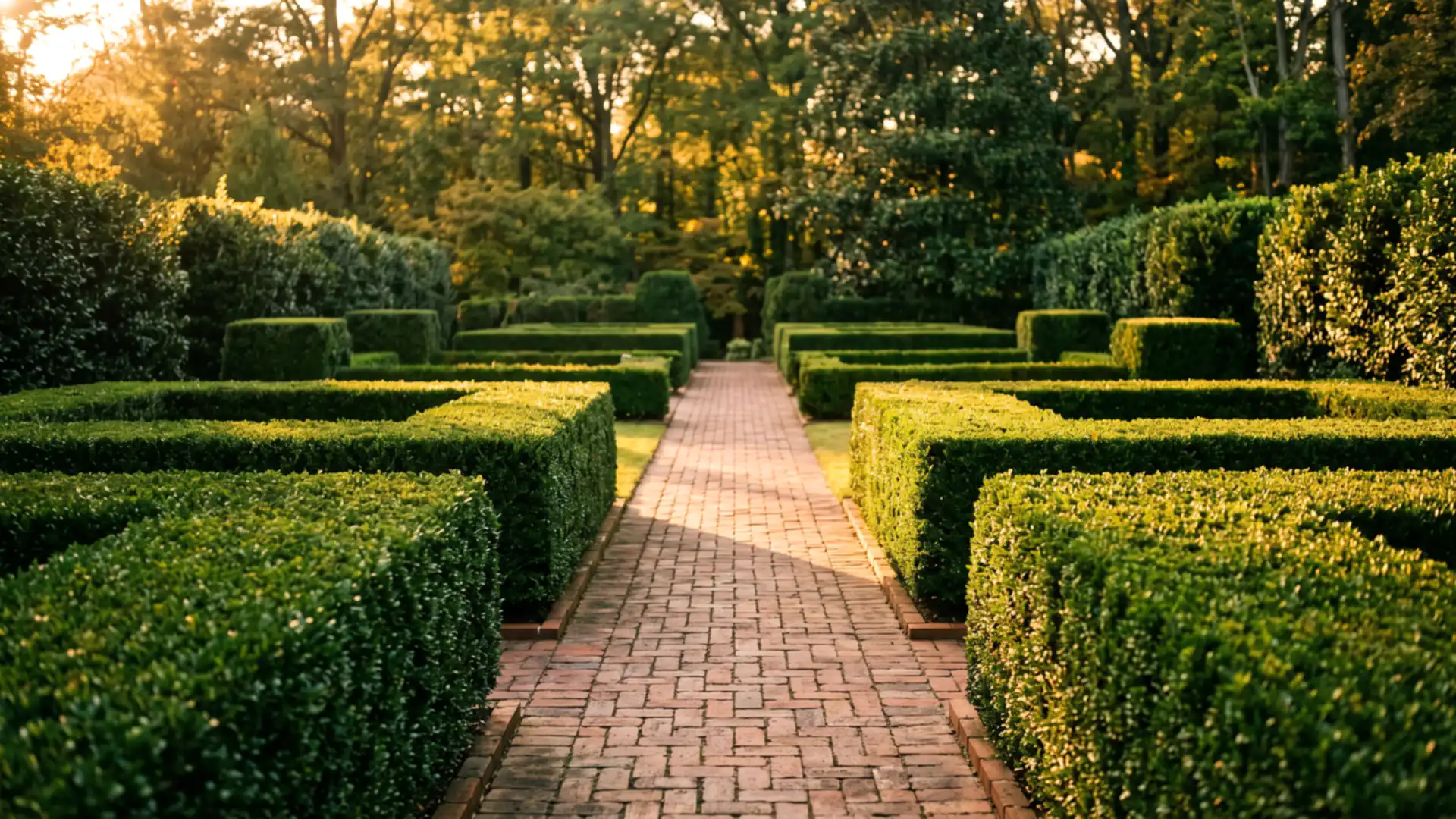 Sample project concept: shrub trimming & pruning for a property in the Atlanta metro